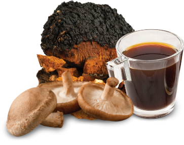 nutra-mushroom-products-extracts-1