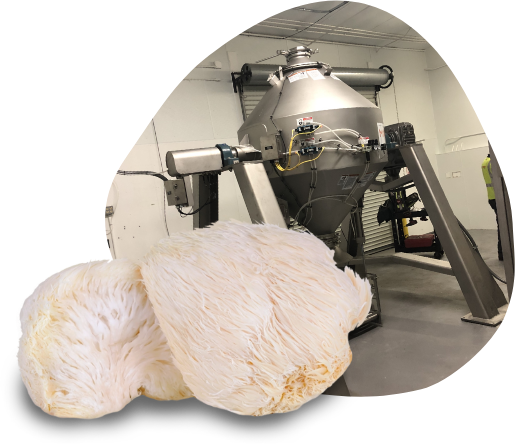 nutra-mushroom-services-formulation-companies