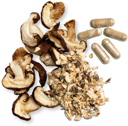 nutra-mushroom-who-we-serve-hero-feature