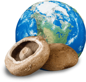 Nutraceutical's commitment to sustainability feature image with an isolated world with two whole Portabella mushrooms in front