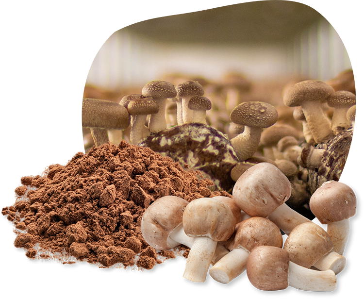 nutra-powder-4 nutra-powder-4