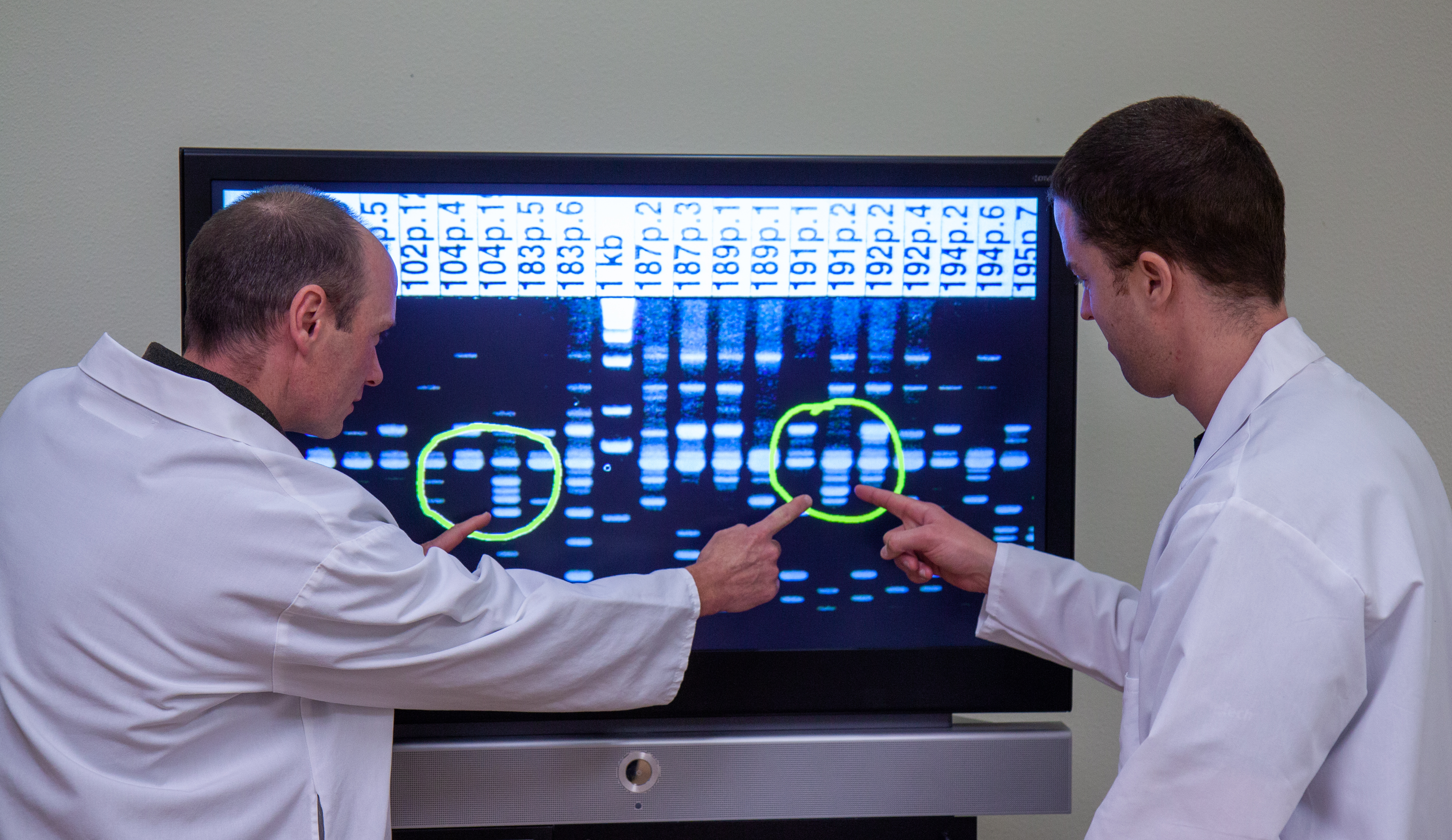 Monterey Nutra science and product development
