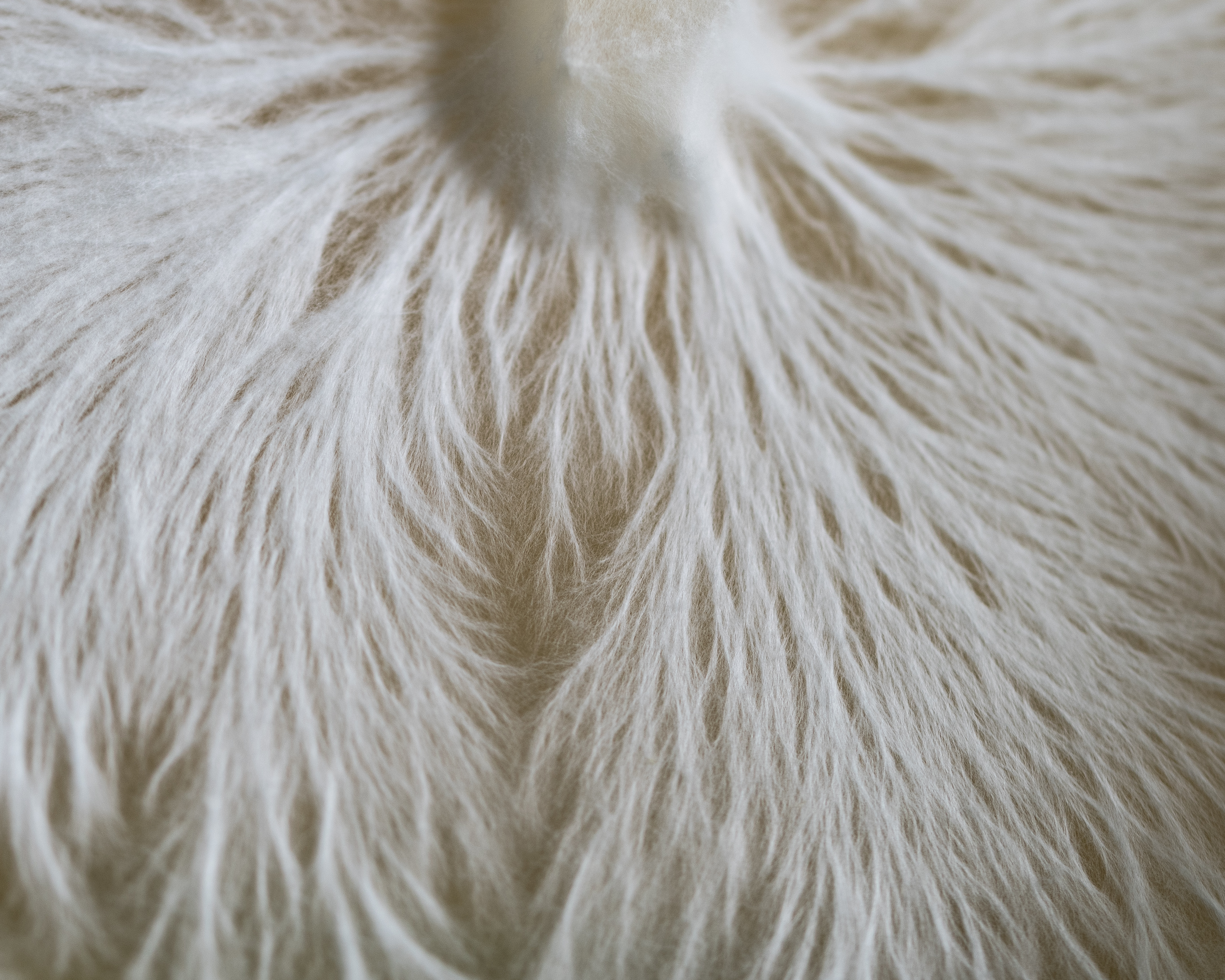 Precise Conditions for Functional Mushroom Growth