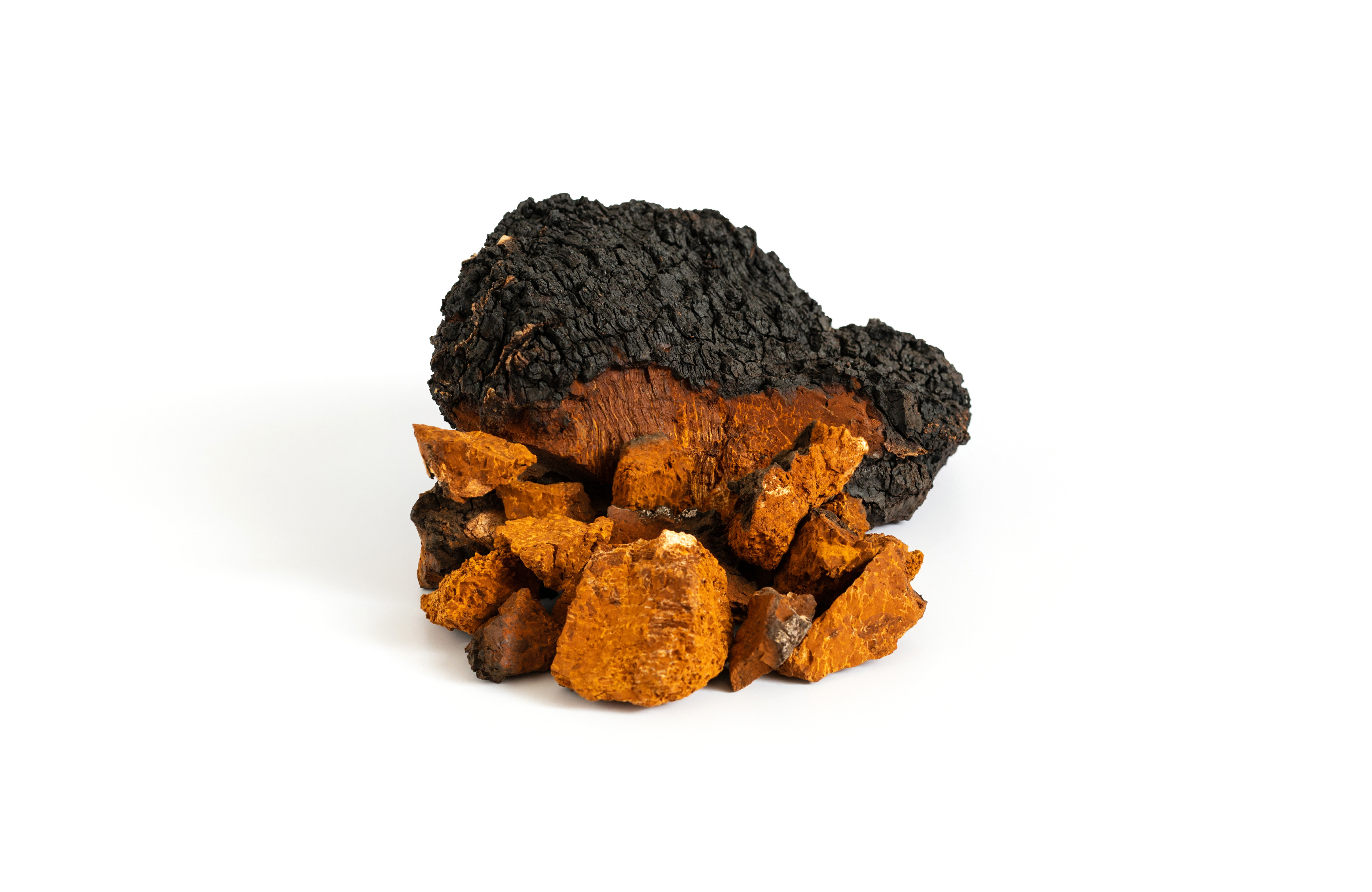 Chaga extract