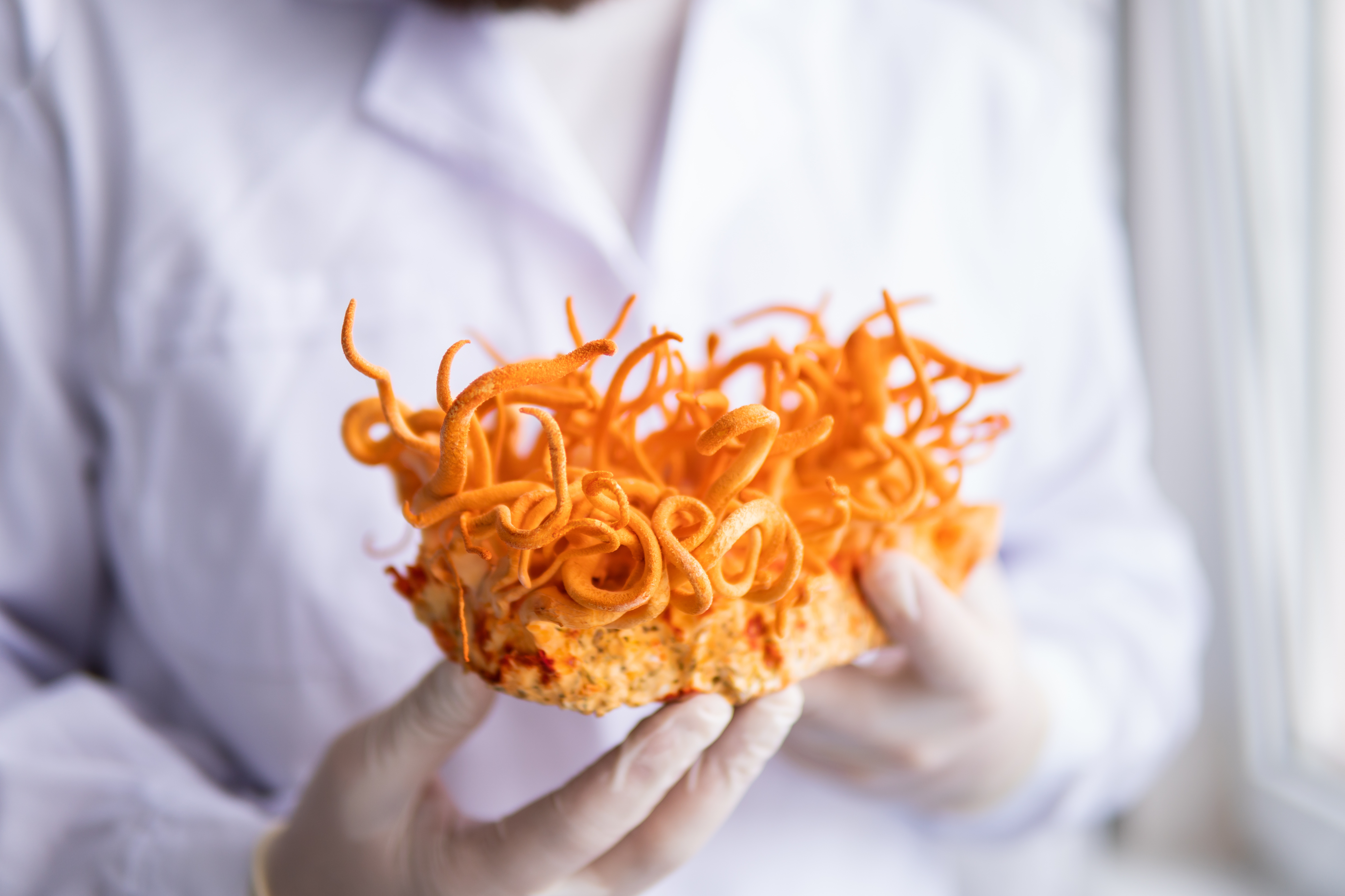 MycoPure extraction visual