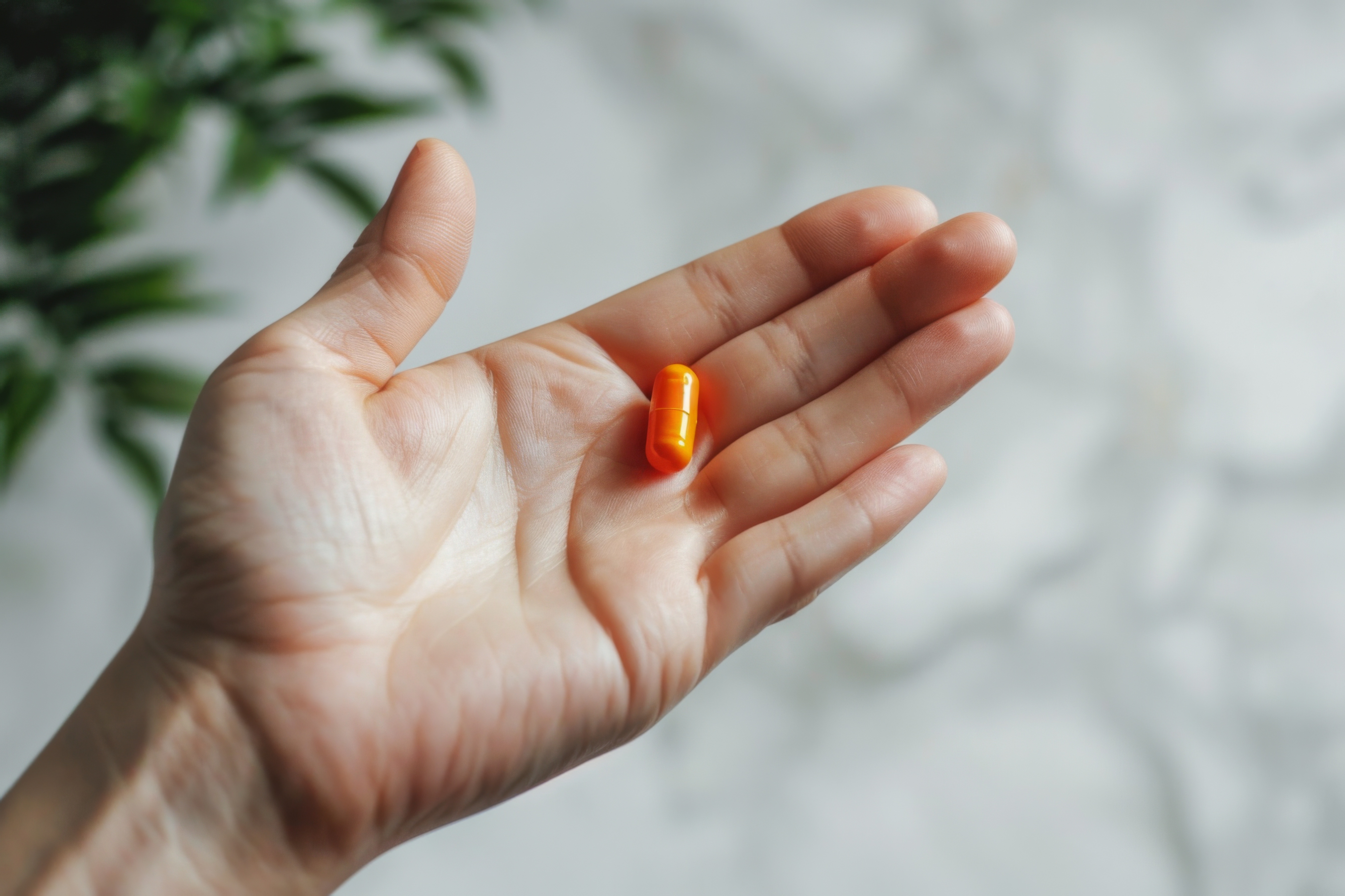 Functional mushroom formulation and ingredient development