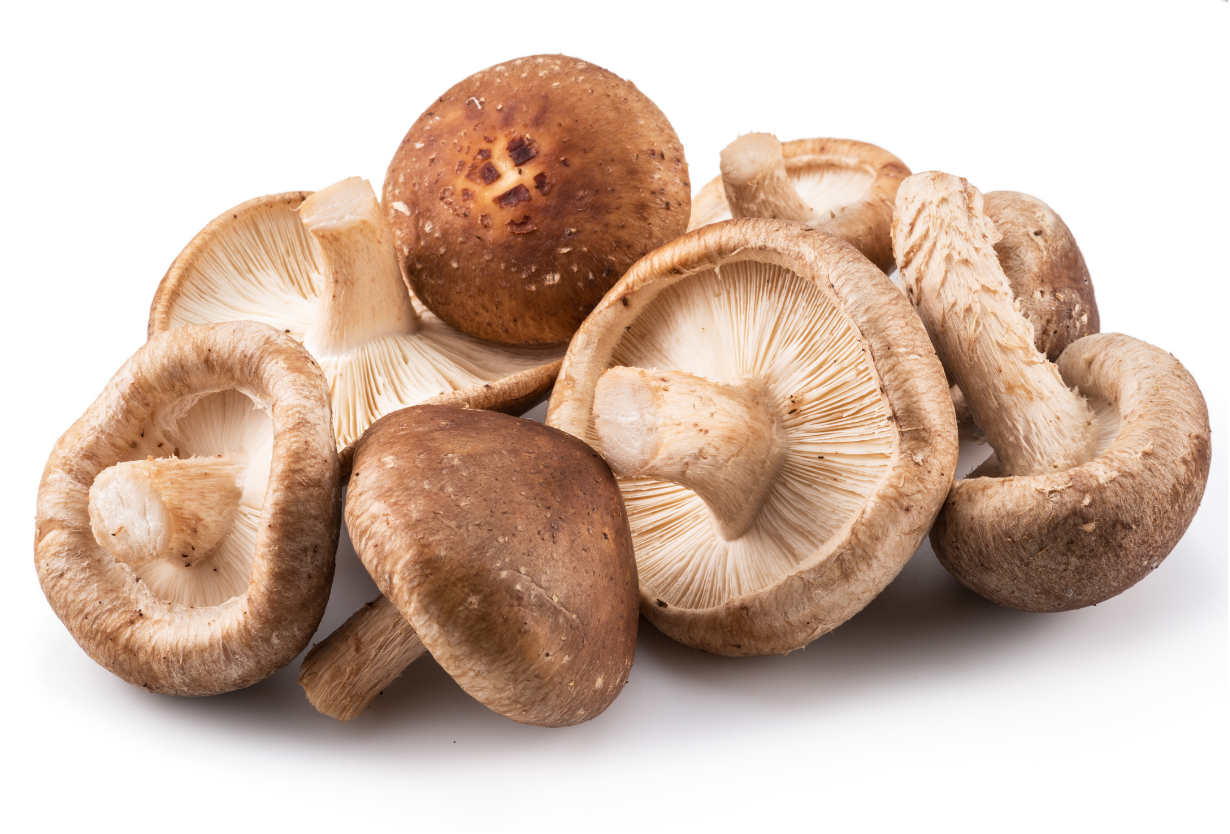 Shiitake extract