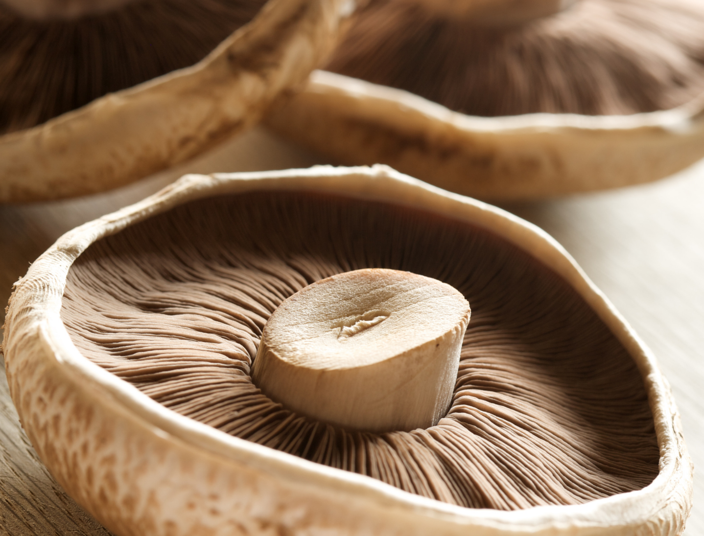 Portabella hero image