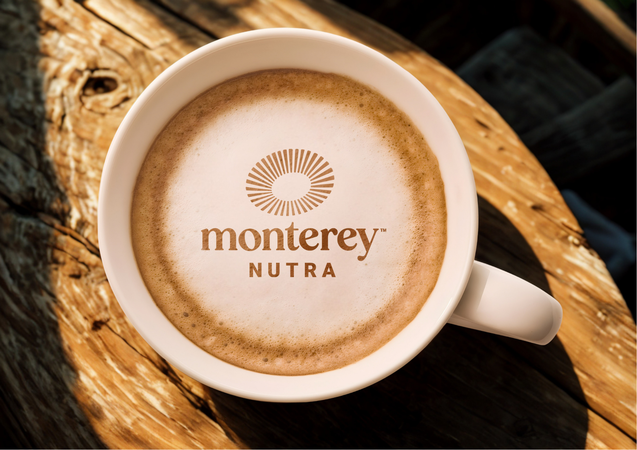 Premium functional mushroom ingredients and applications